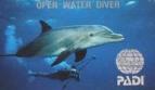 Open water Diver